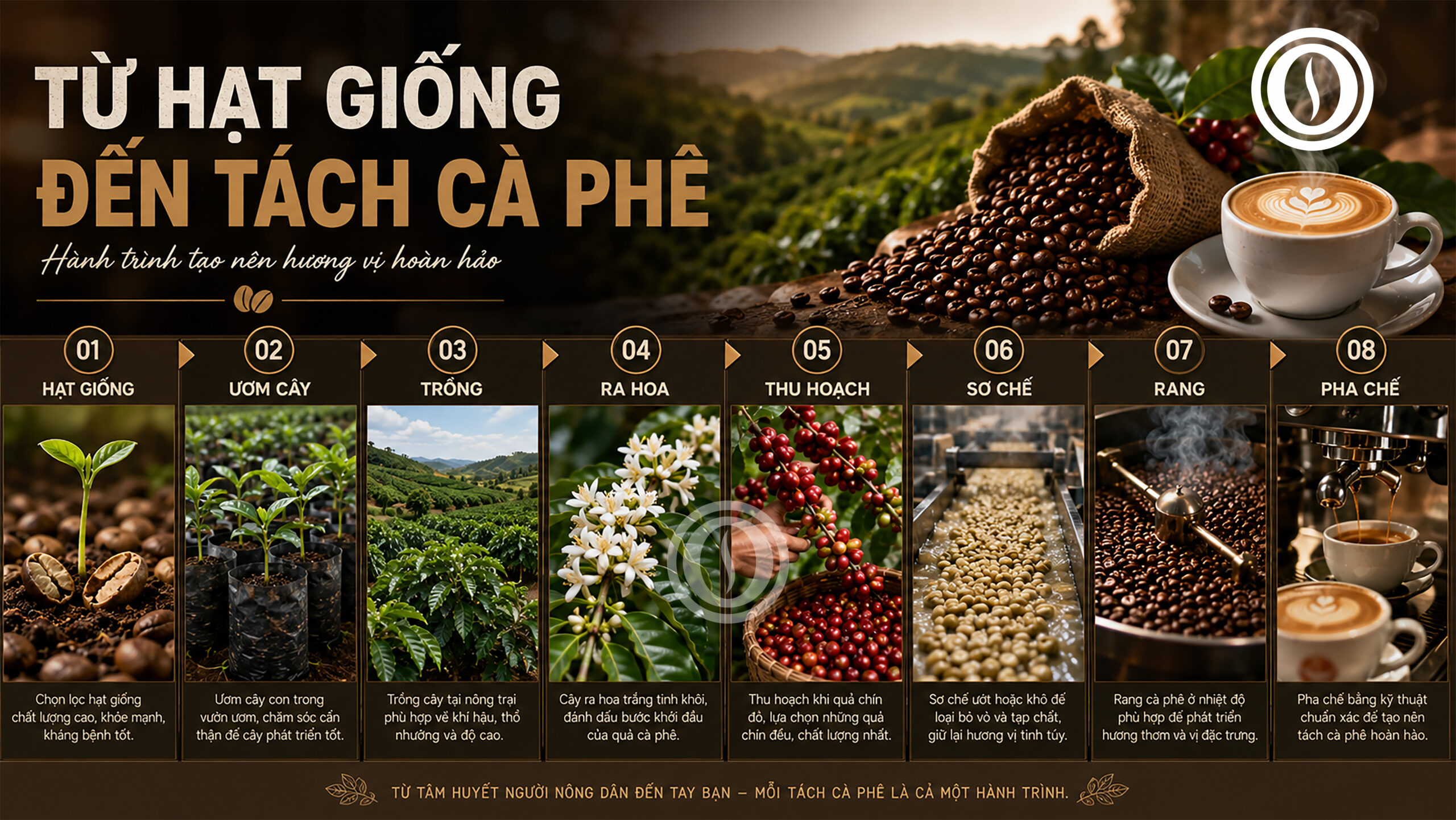 cà phê là gì