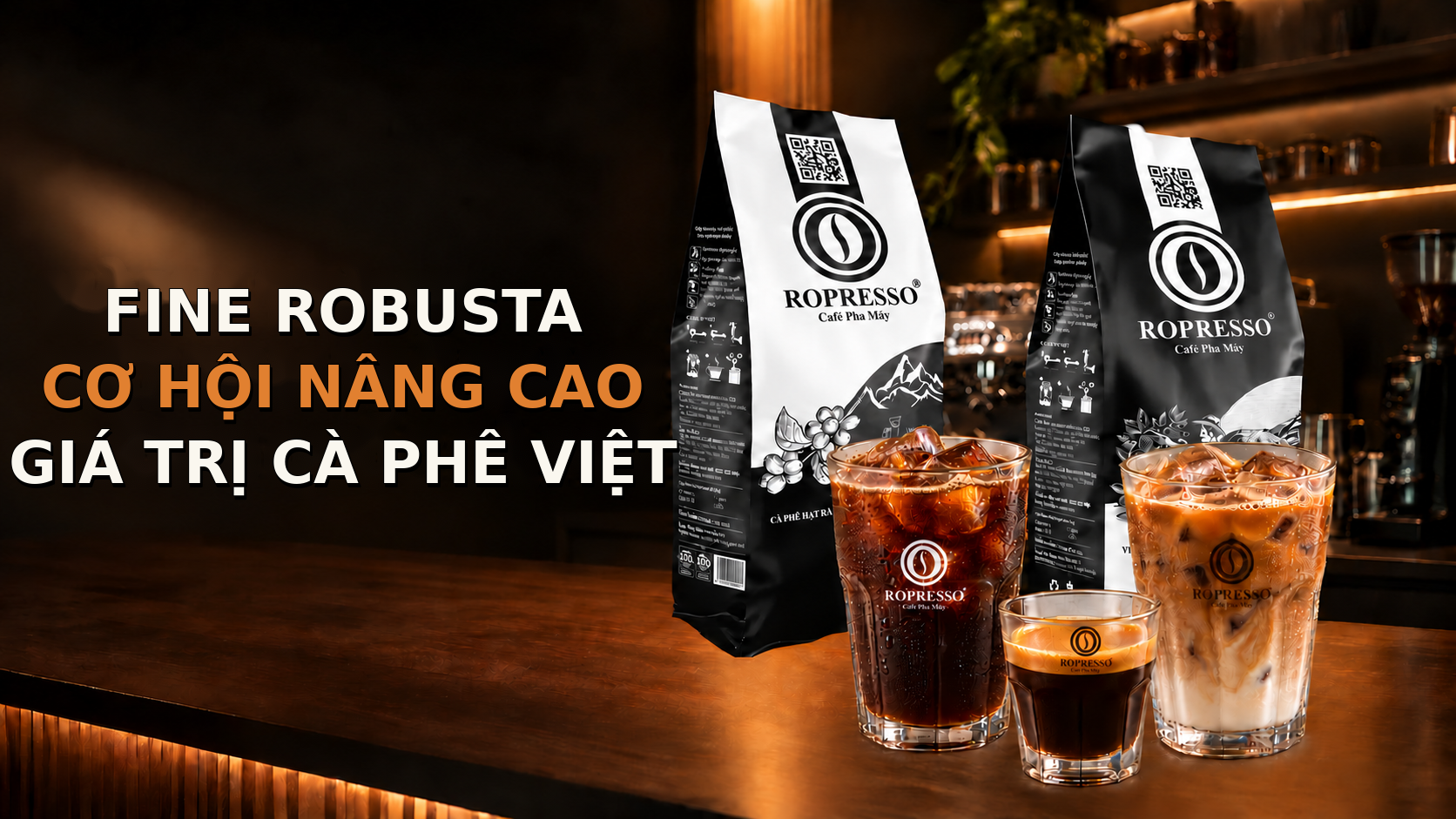 Ảnh tiêu đề giới thiệu Fine Robusta và cơ hội nâng cao giá trị cà phê Việt trên ROPRESSO.