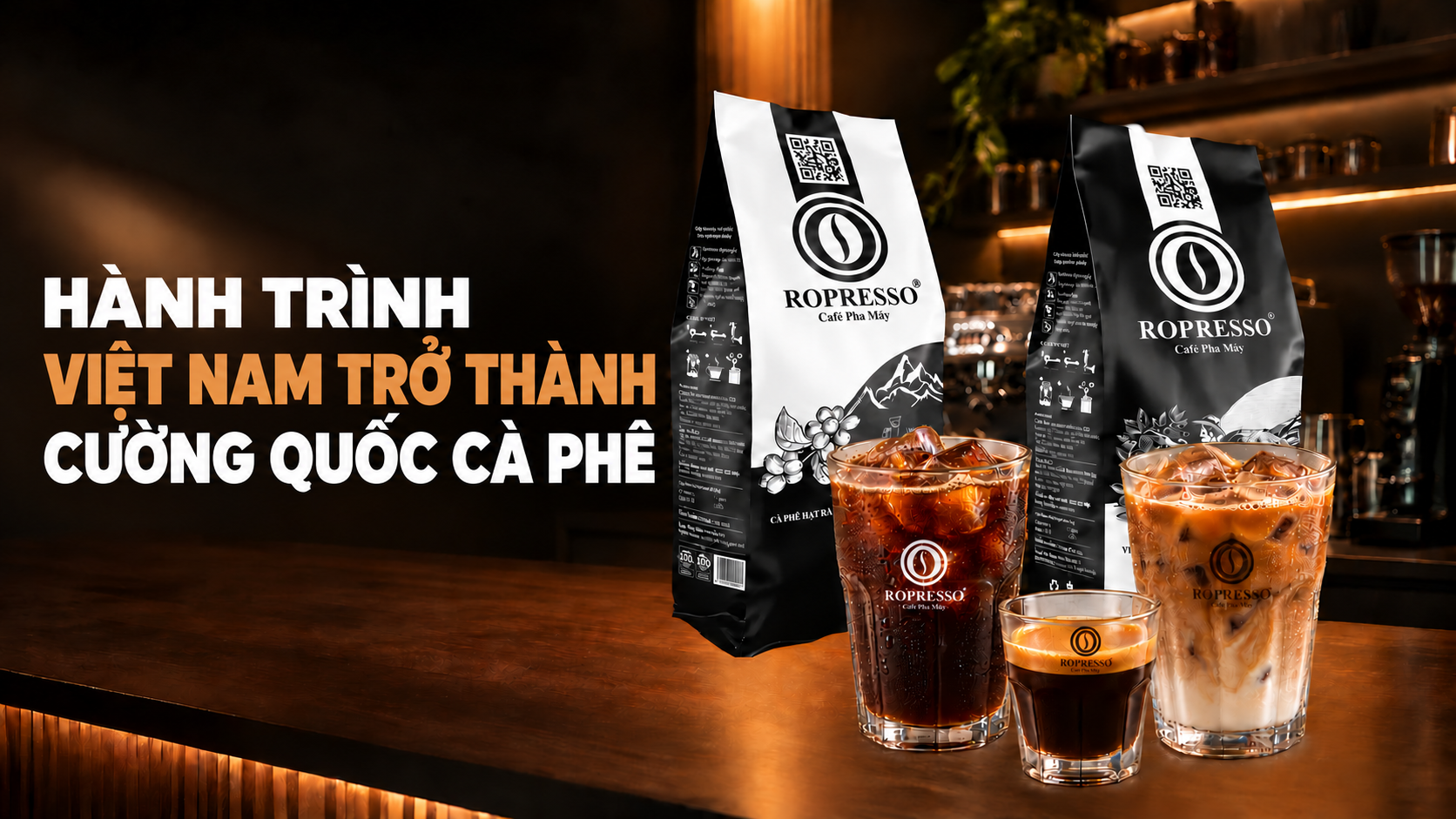 Cà phê Việt Nam chín đỏ trên cành ở vùng trồng Tây Nguyên