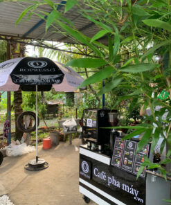 Alternative view of Combo trọn gói - Xe quầy Cafe pha máy - Gói khởi nghiệp