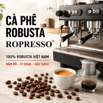 Hạt cà phê Robusta Việt Nam