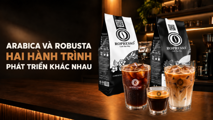 Arabica và Robusta – Hai hành trình phát triển khác nhau