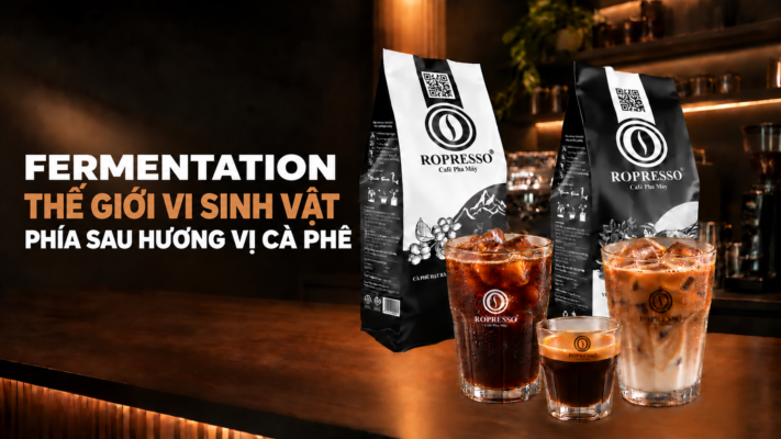 Fermentation – Thế giới vi sinh vật phía sau hương vị cà phê