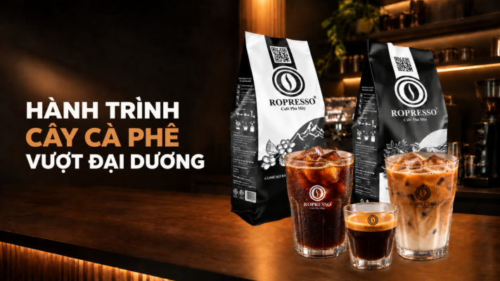 Hành trình cây cà phê vượt đại dương đến châu Á và châu Mỹ