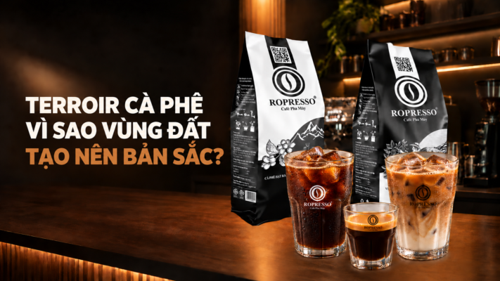 Terroir cà phê vì sao vùng đất tạo nên bản sắc