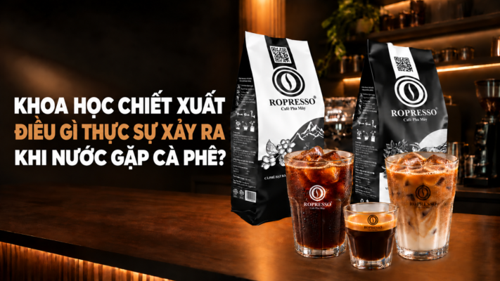 chiết xuất cà phê